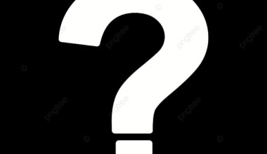 How to check the developer before you start cooperating with him?