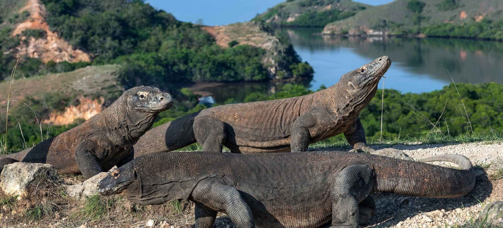 Индонезию назвали самым красивым направлением