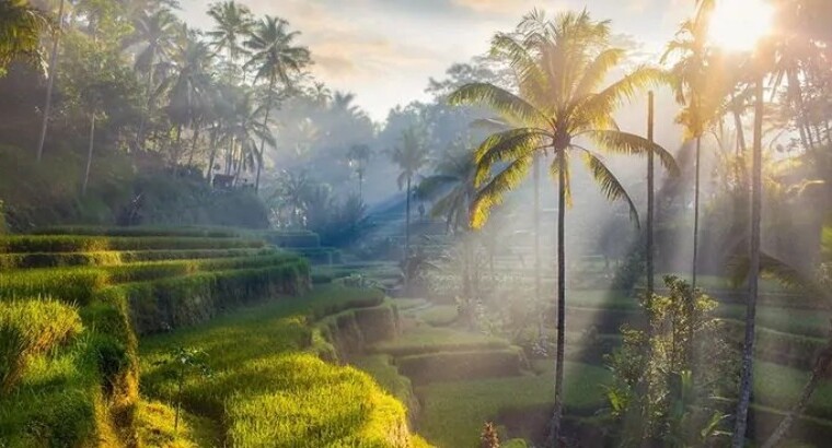 Bali is the world's leading photogenic destination