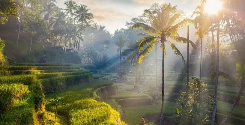 Bali is the world's leading photogenic destination