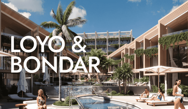 A brief instruction for the investor from LOYO & BONDAR